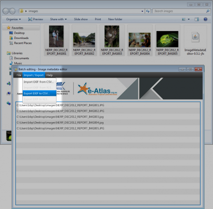 Exporting images metadata using the Image Metadata Editor