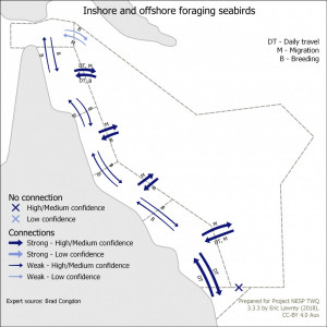 Inshore and offshore foraging seabirds