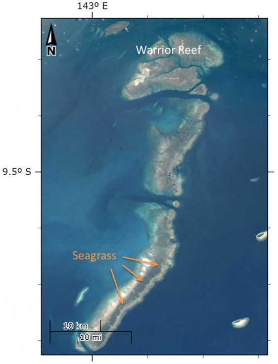 Warrior Reef satellite image highlighting seagrass