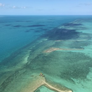 Aerial view of a seagrass meadow at Clack Reef.