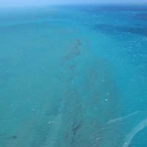 Long Reef - Aerial view