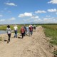 Constructed treatment wetland on a Burdekin cane farm - central berm (raised earth bank)