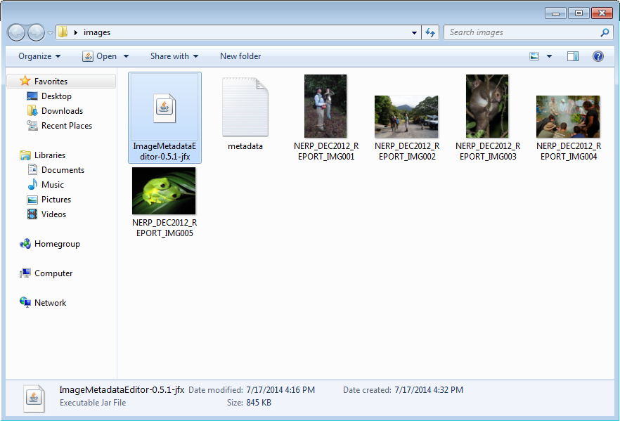 Selecting the Image Metadata Editor