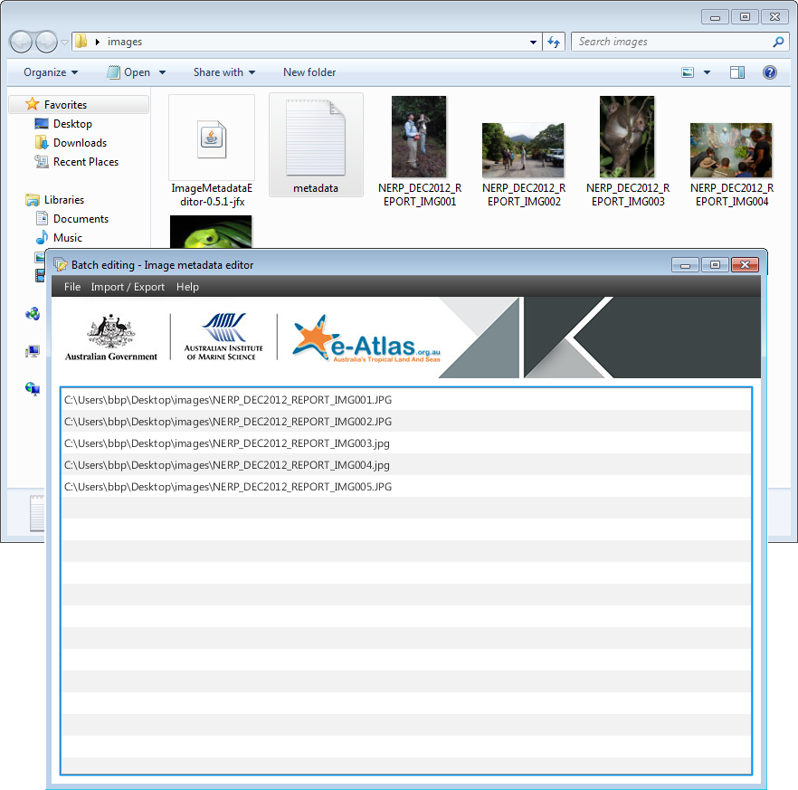CSV file loaded in the Image Metadata Editor
