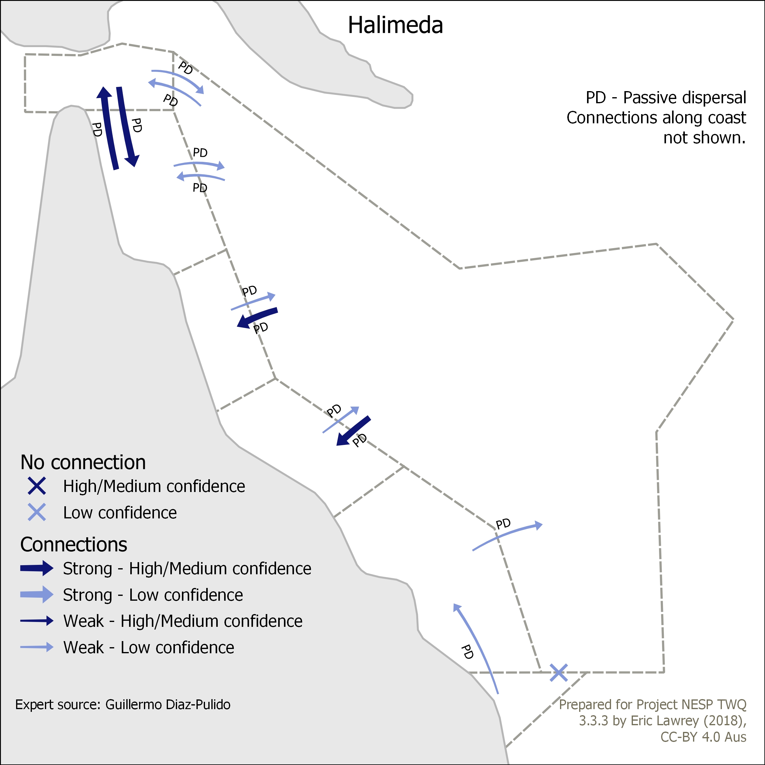 Halimeda