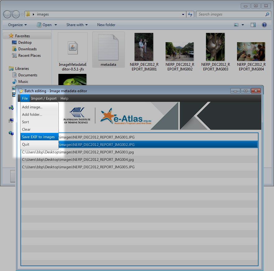 Saving images metadata from the Image Metadata Editor
