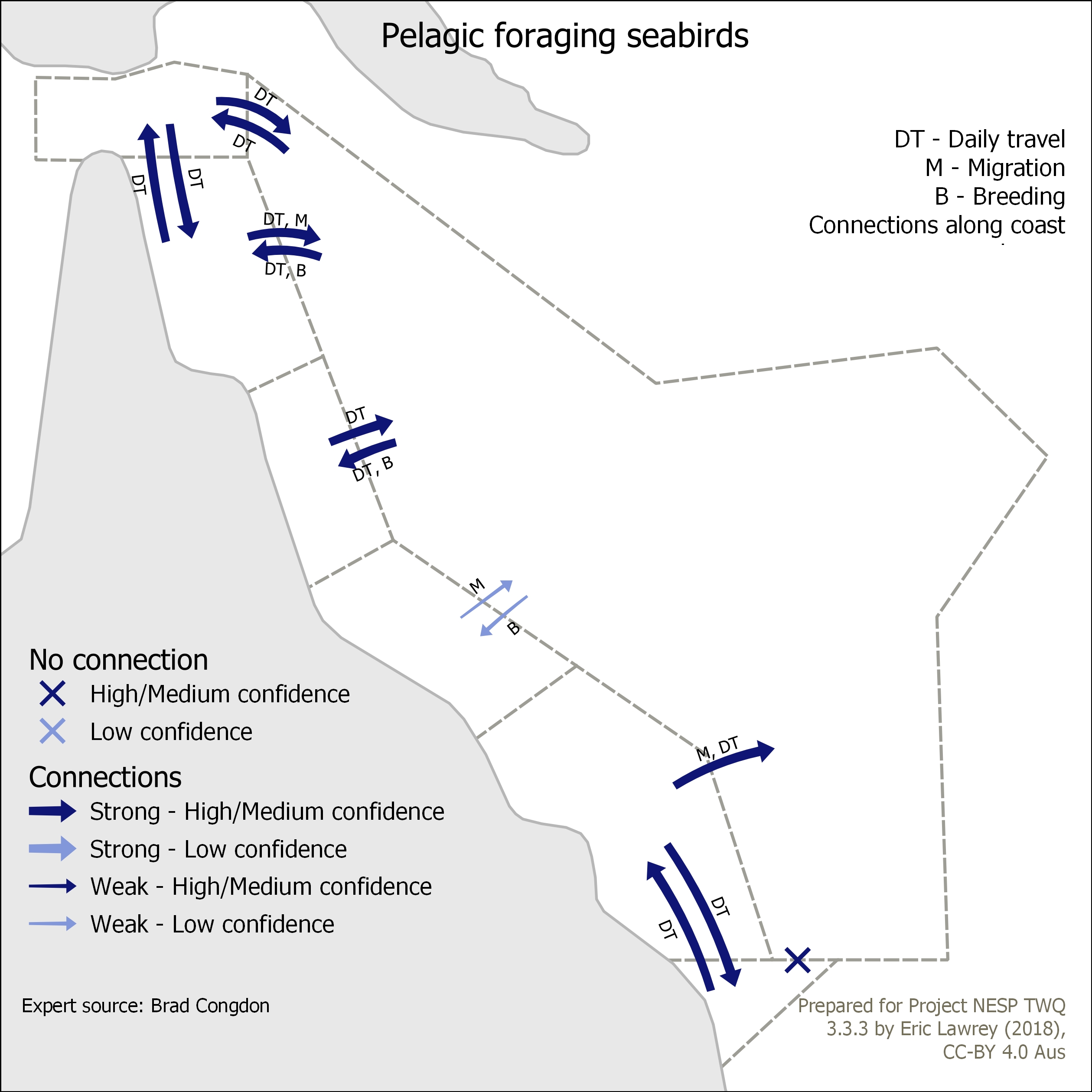 Pelagic foraging seabirds