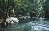 Wet Tropics