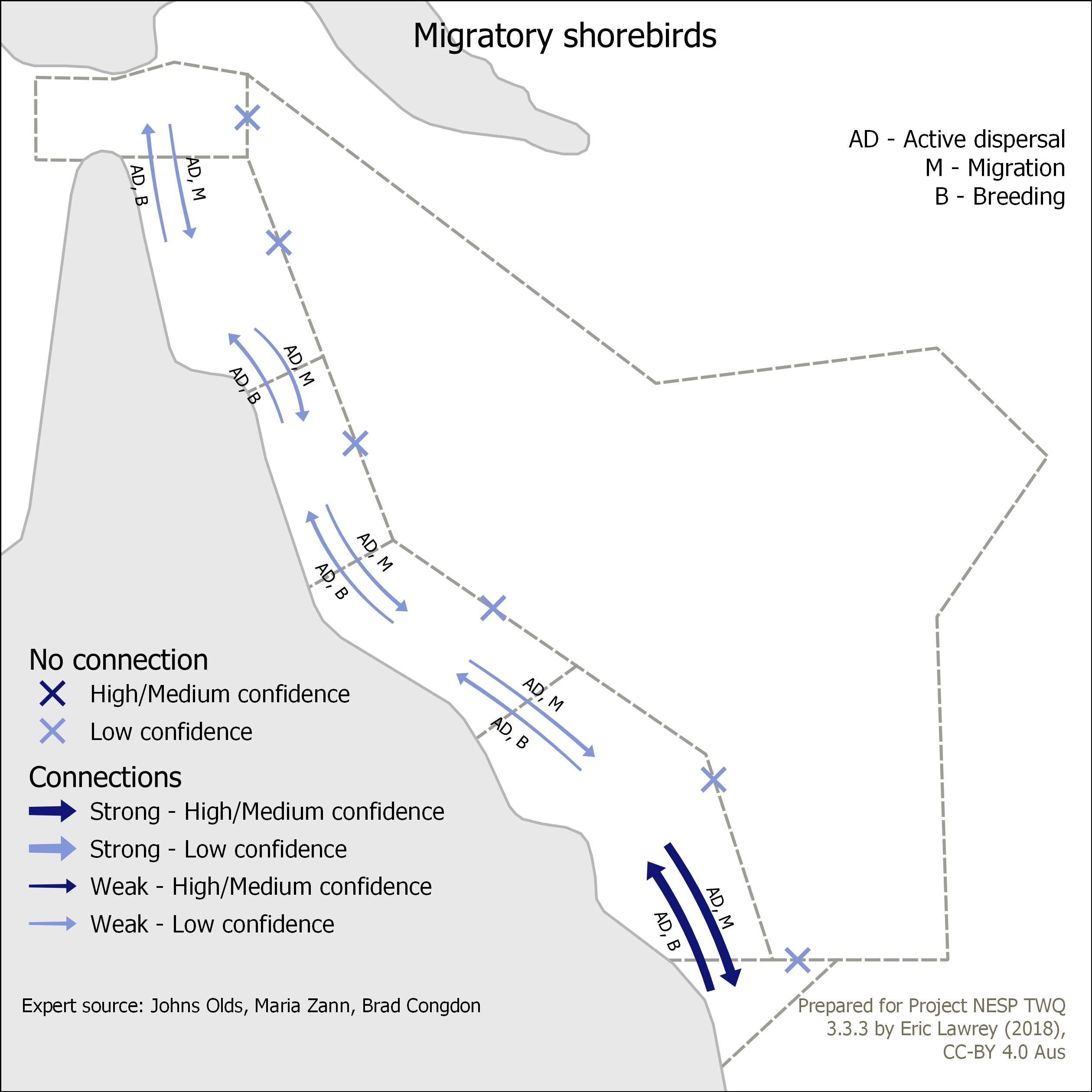 Migratory shorebirds