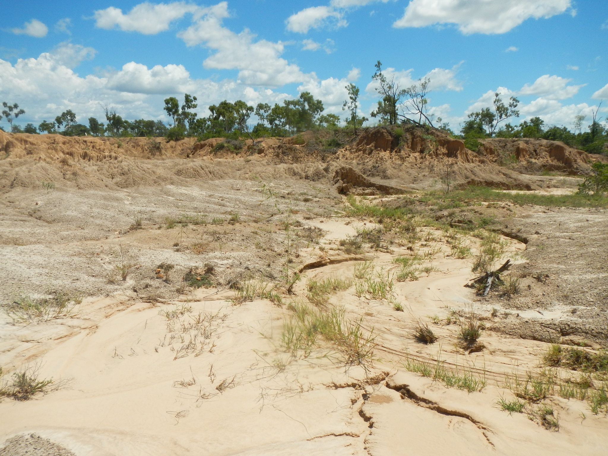 Alluvial gully at Strathalbyn Station showing vertical soil stratification