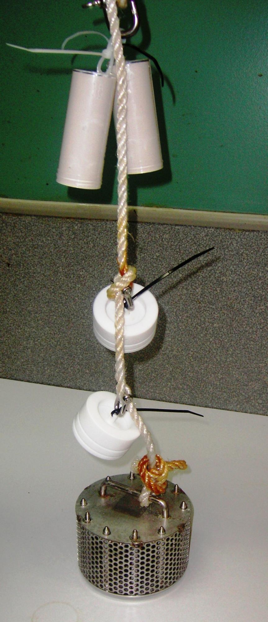 Typical configuration of passive flow monitors (PFMs) (at top) and passive pesticide samplers (Empore Discs in middle and PDMS/SPMDs on the bottom) ready for deployment