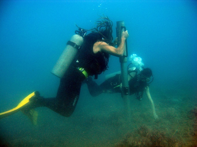 Coral coring