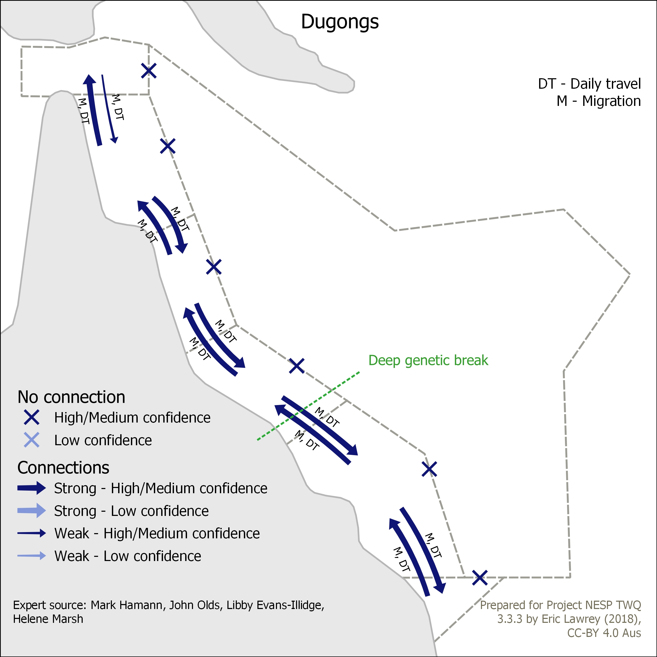 Dugongs