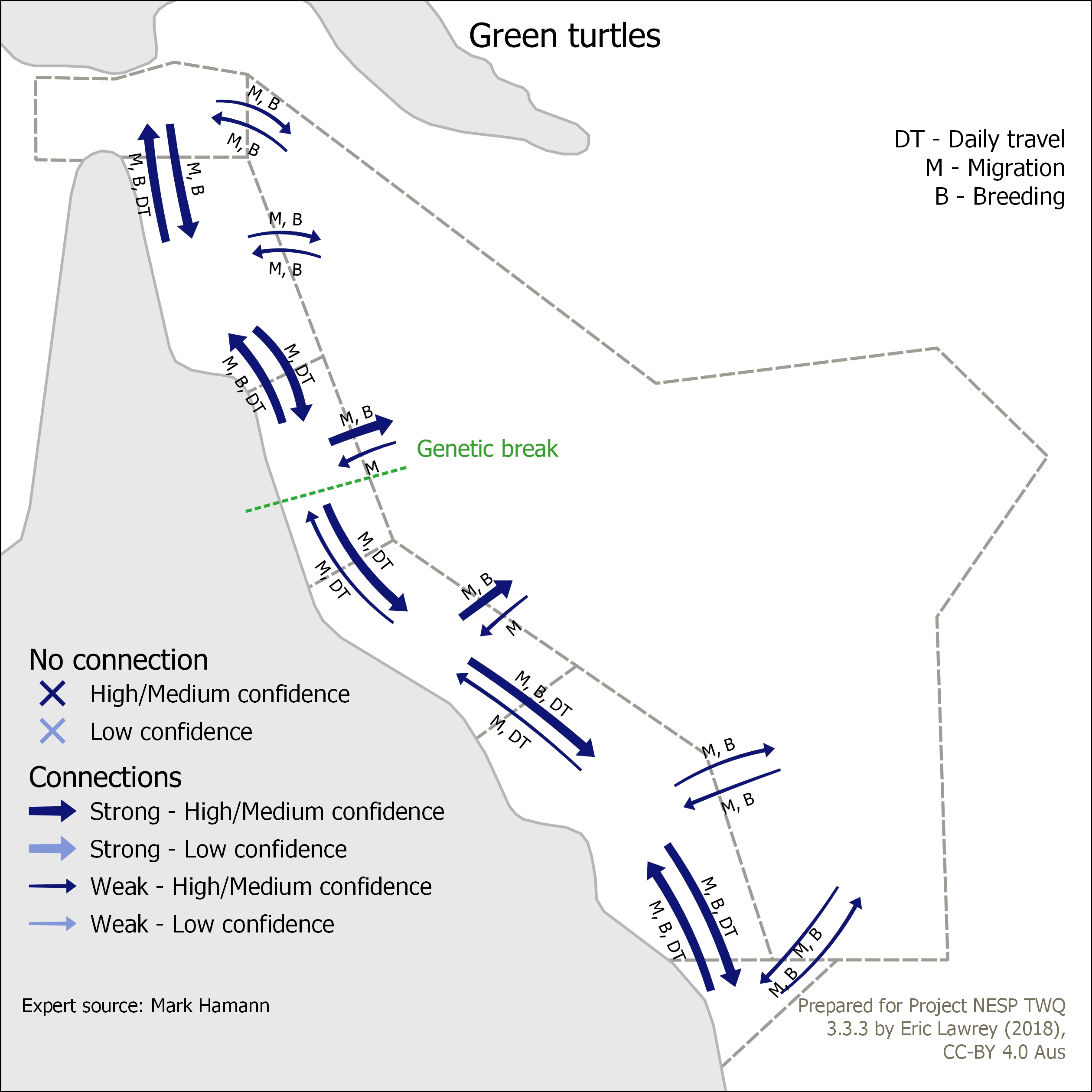 Green turtles