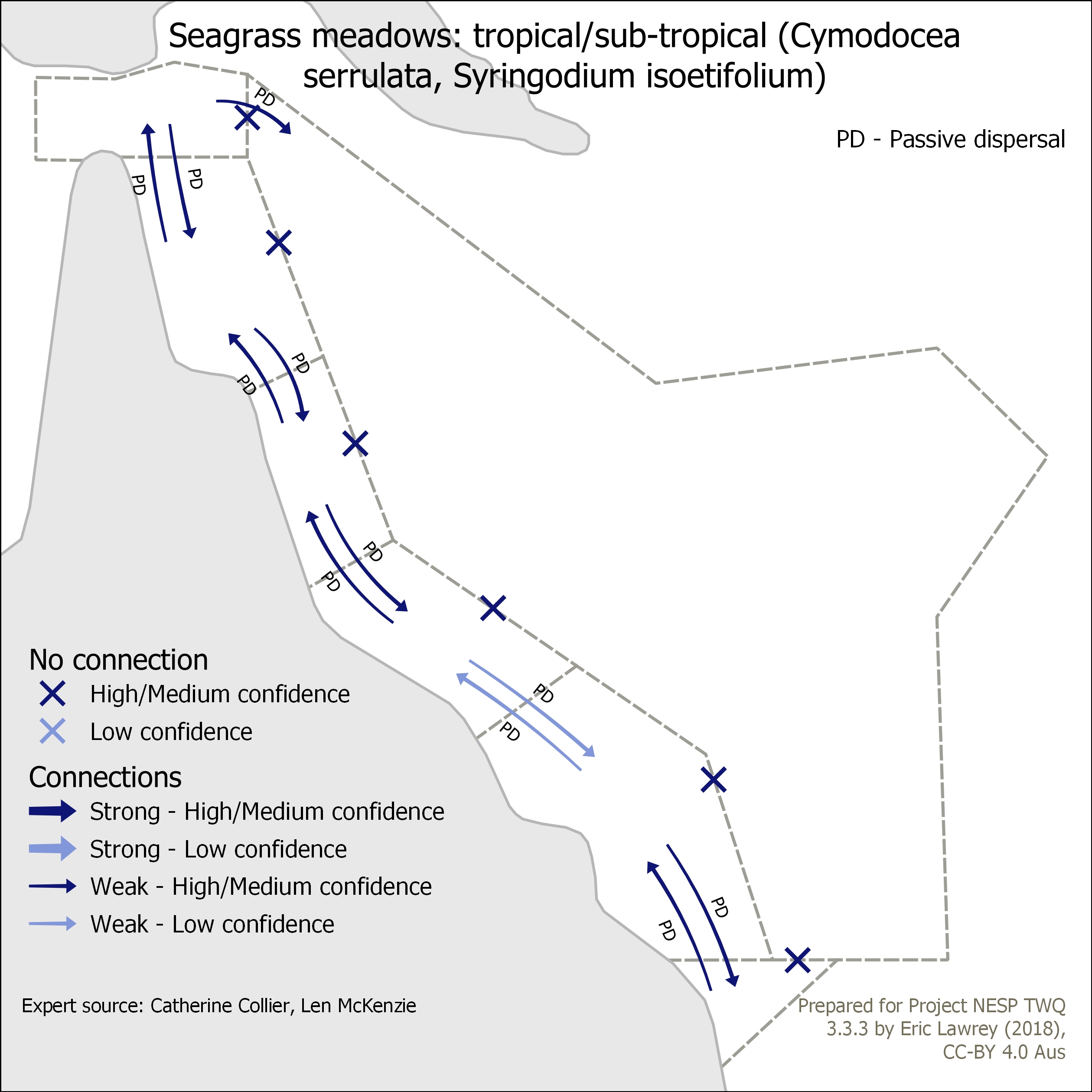Seagrass meadows: tropical/sub-tropical (Cymodocea serrulata, Syringodium isoetifolium)
