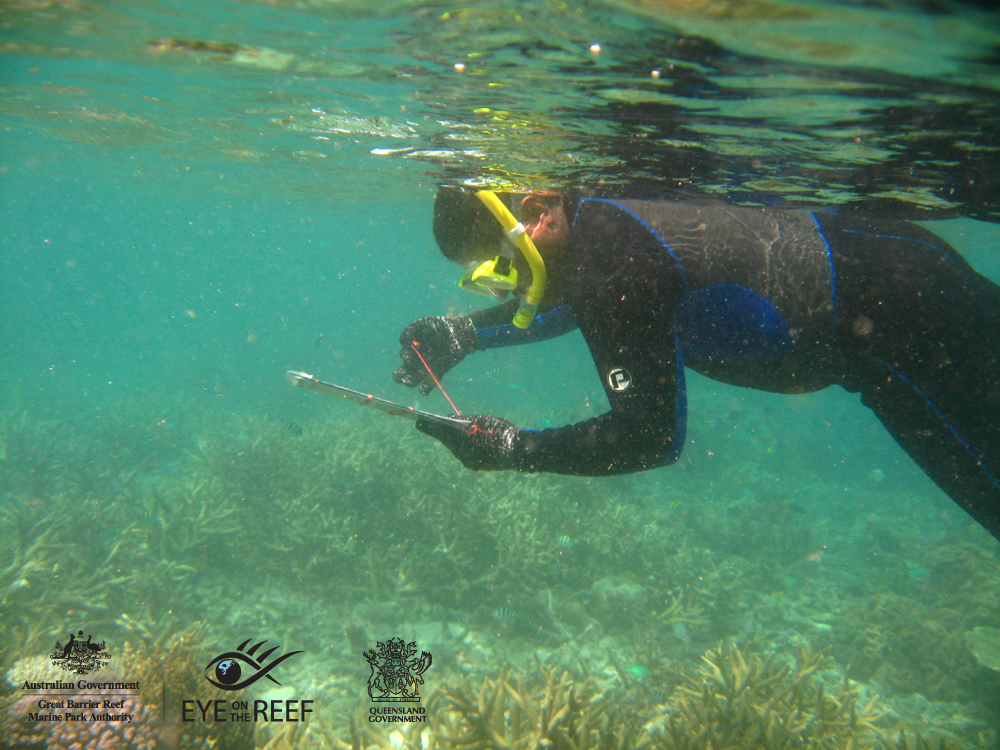 Erub Reef
