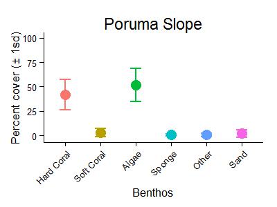 Poruma Reef Slope Benthic Group Graph