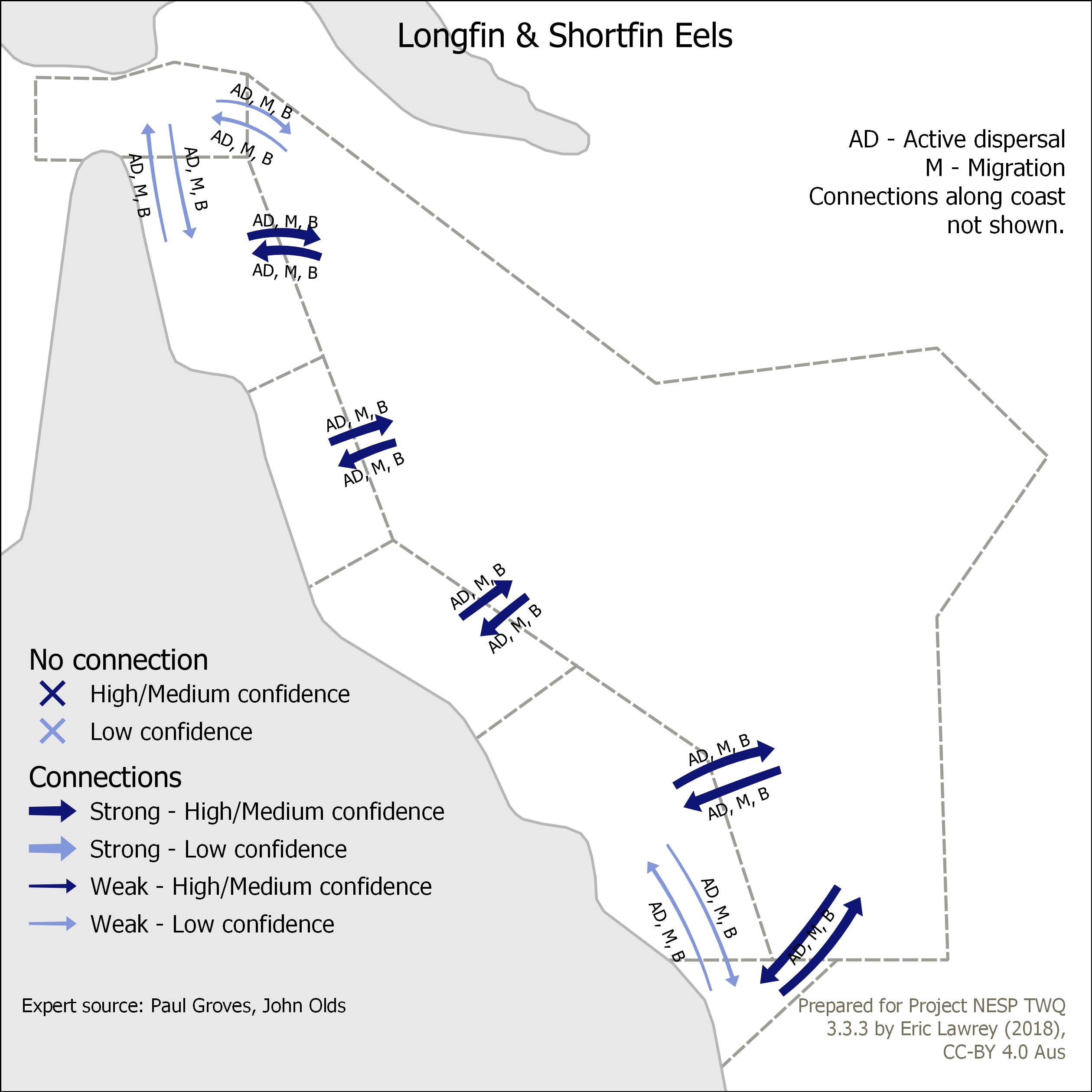 Longfin & Shortfin Eels
