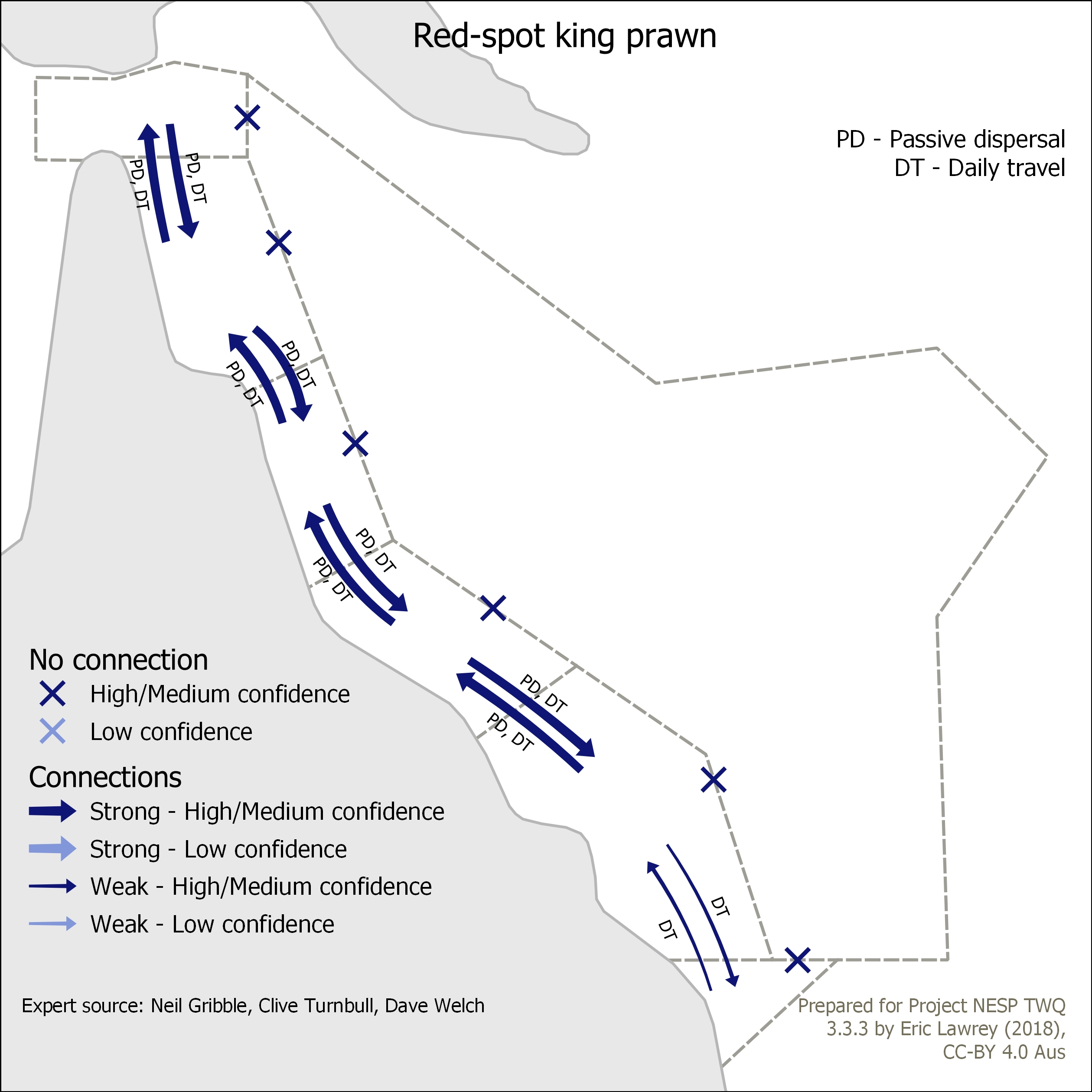 Red-spot king prawn