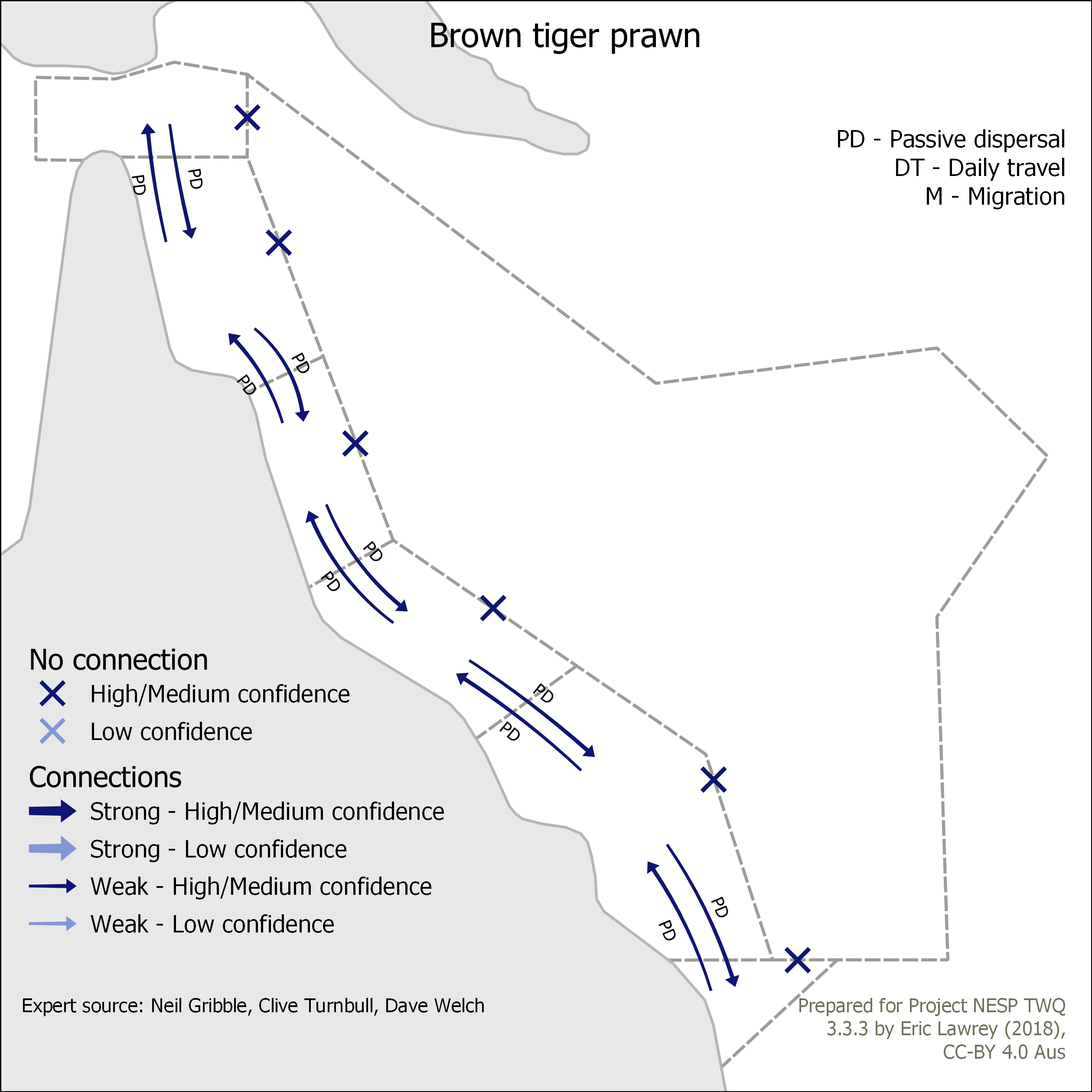 Brown tiger prawn