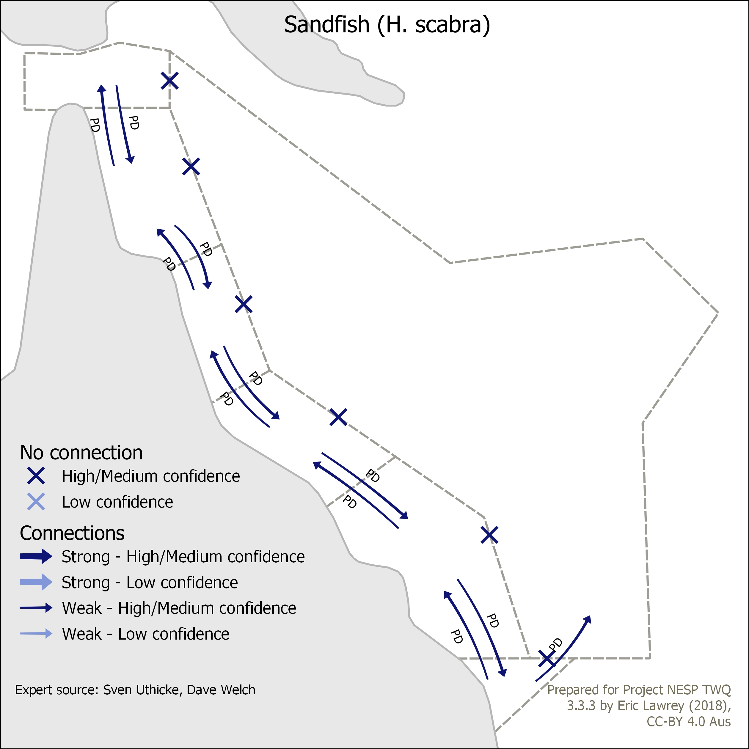 Sandfish (H. scabra)
