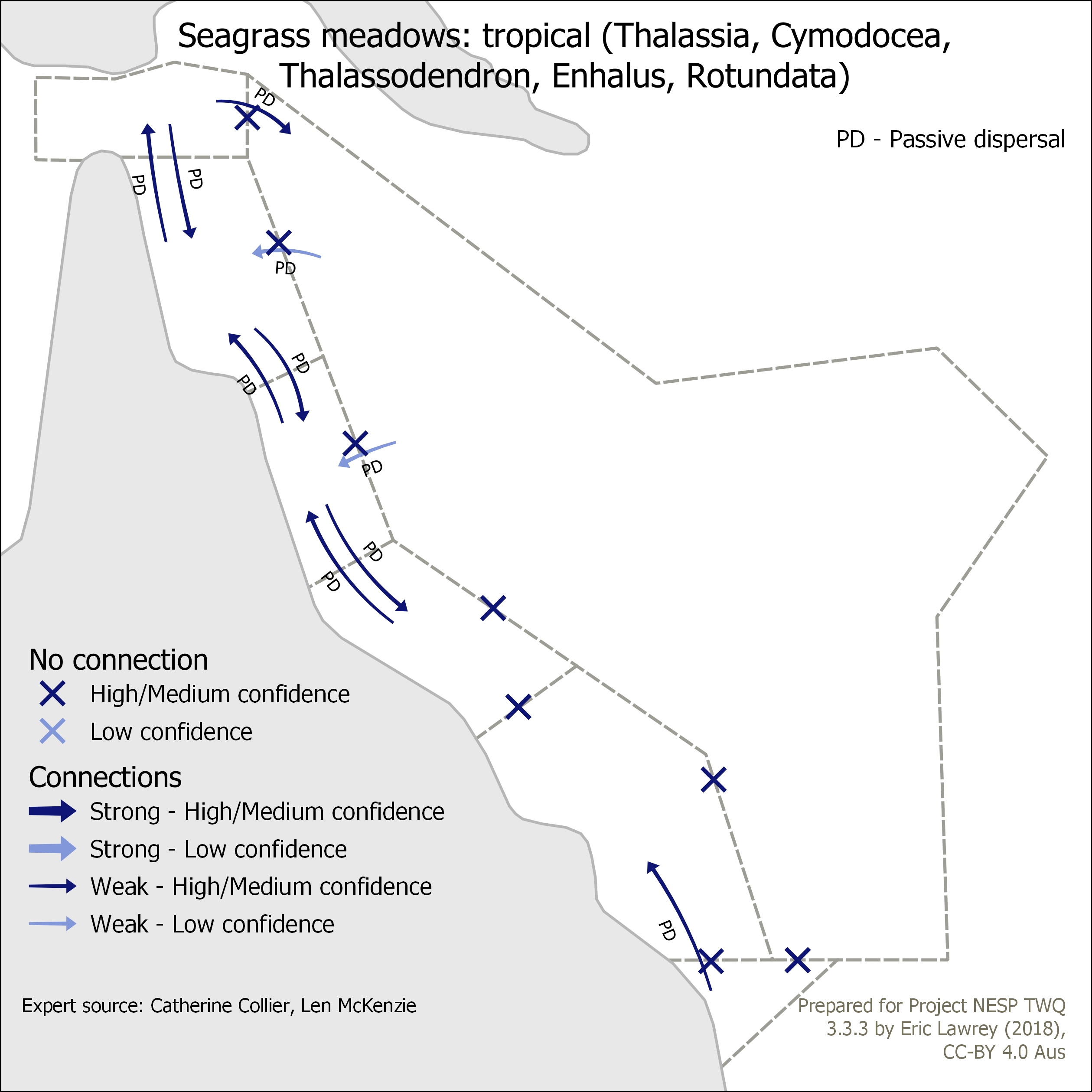 Seagrass meadows: tropical (Thalassia, Cymodocea, Thalassodendron, Enhalus, Rotundata)