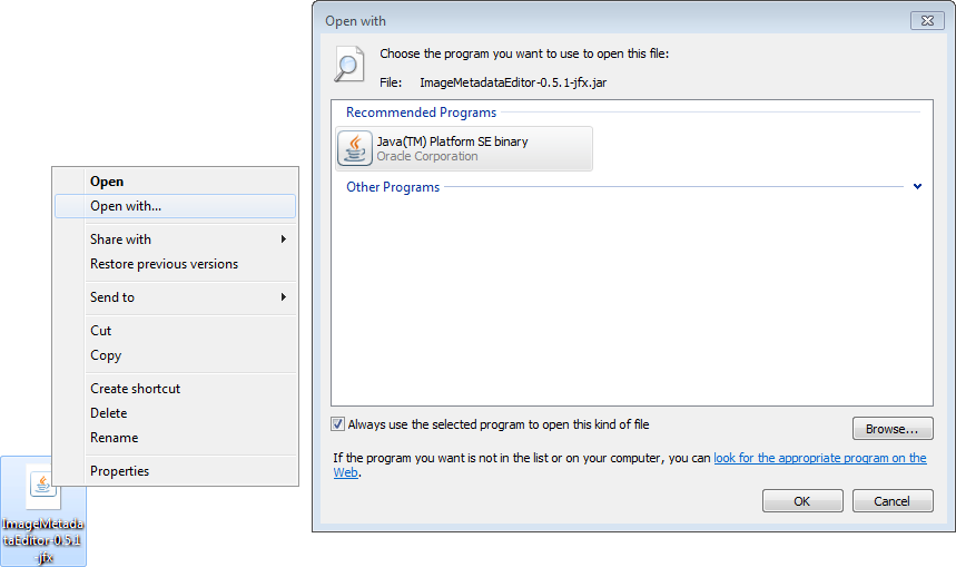 Execution the Image Metadata Editor manually