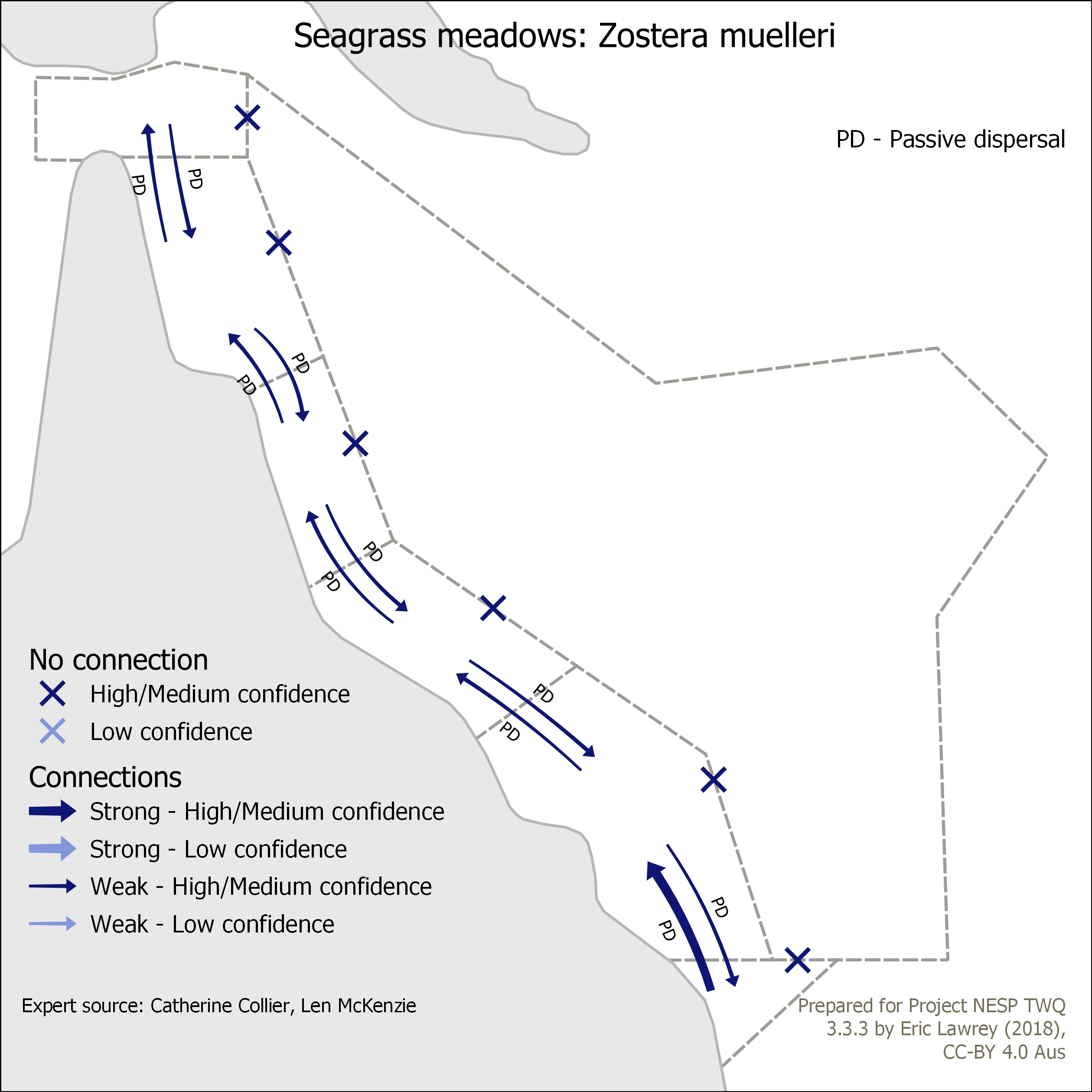Seagrass meadows: Zostera muelleri
