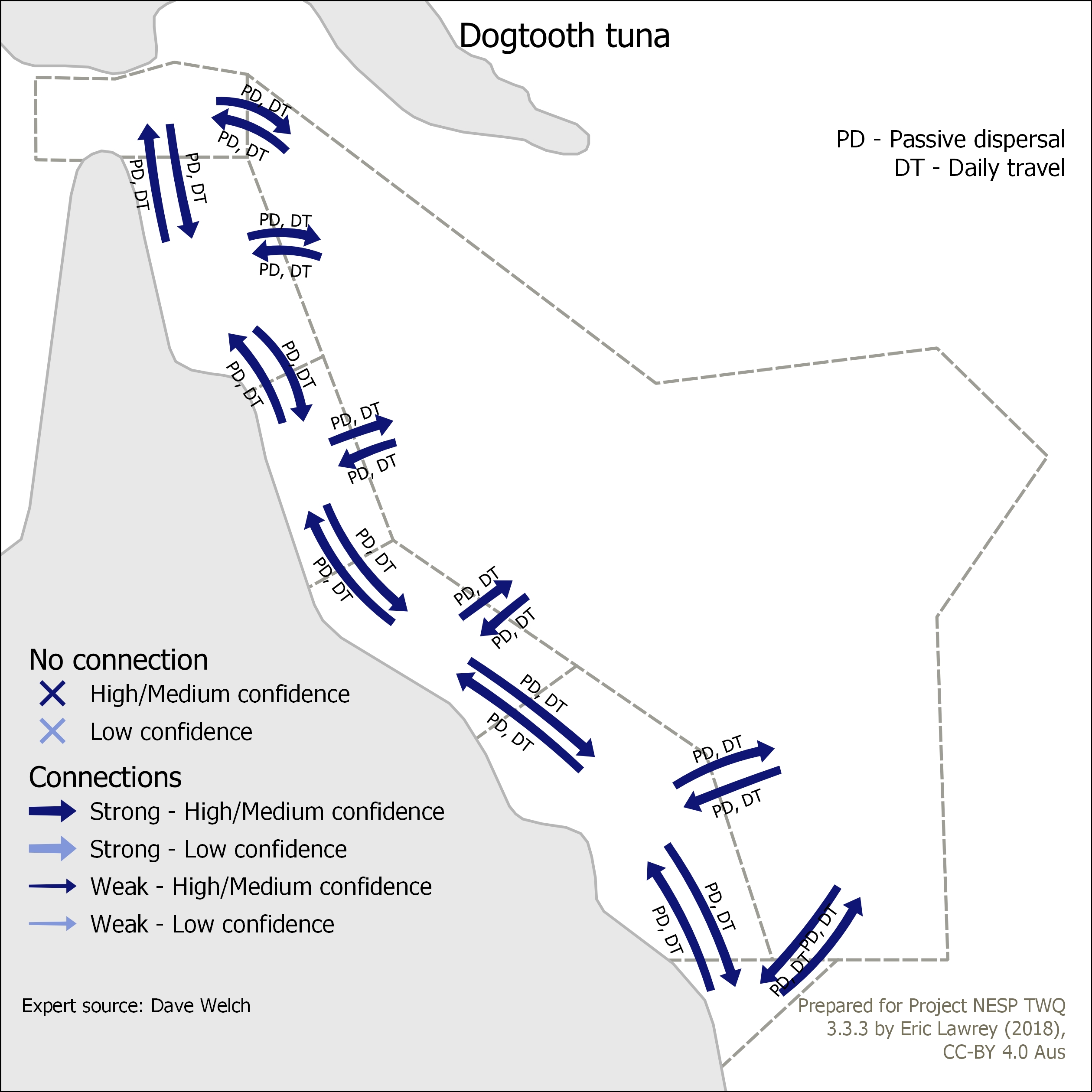 Dogtooth tuna
