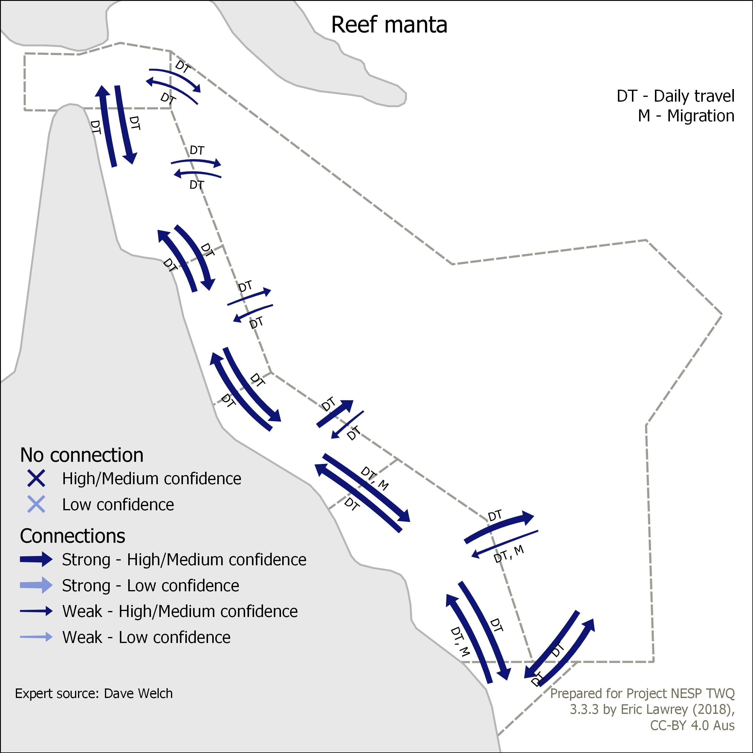 Reef manta