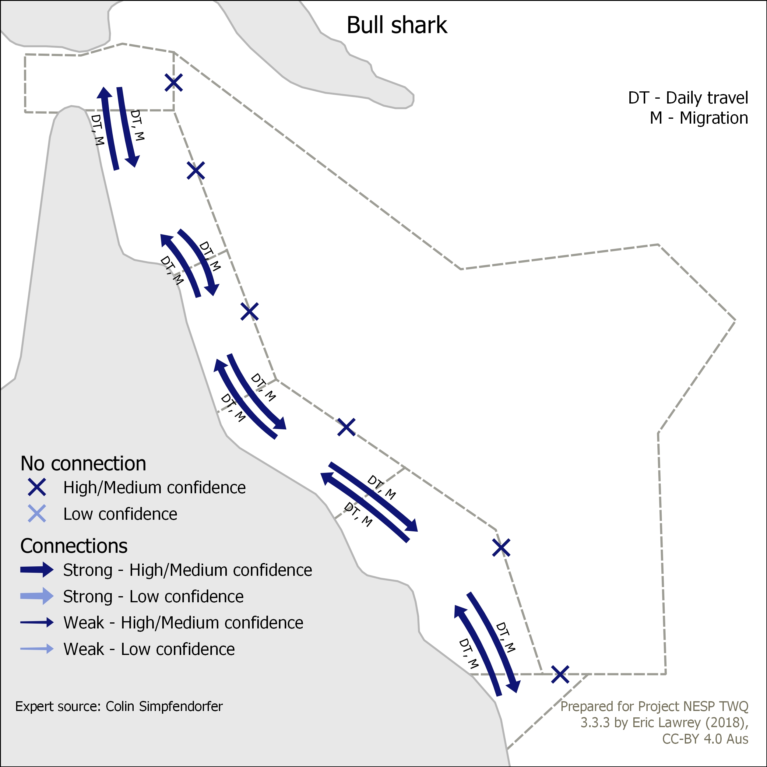 Bull shark