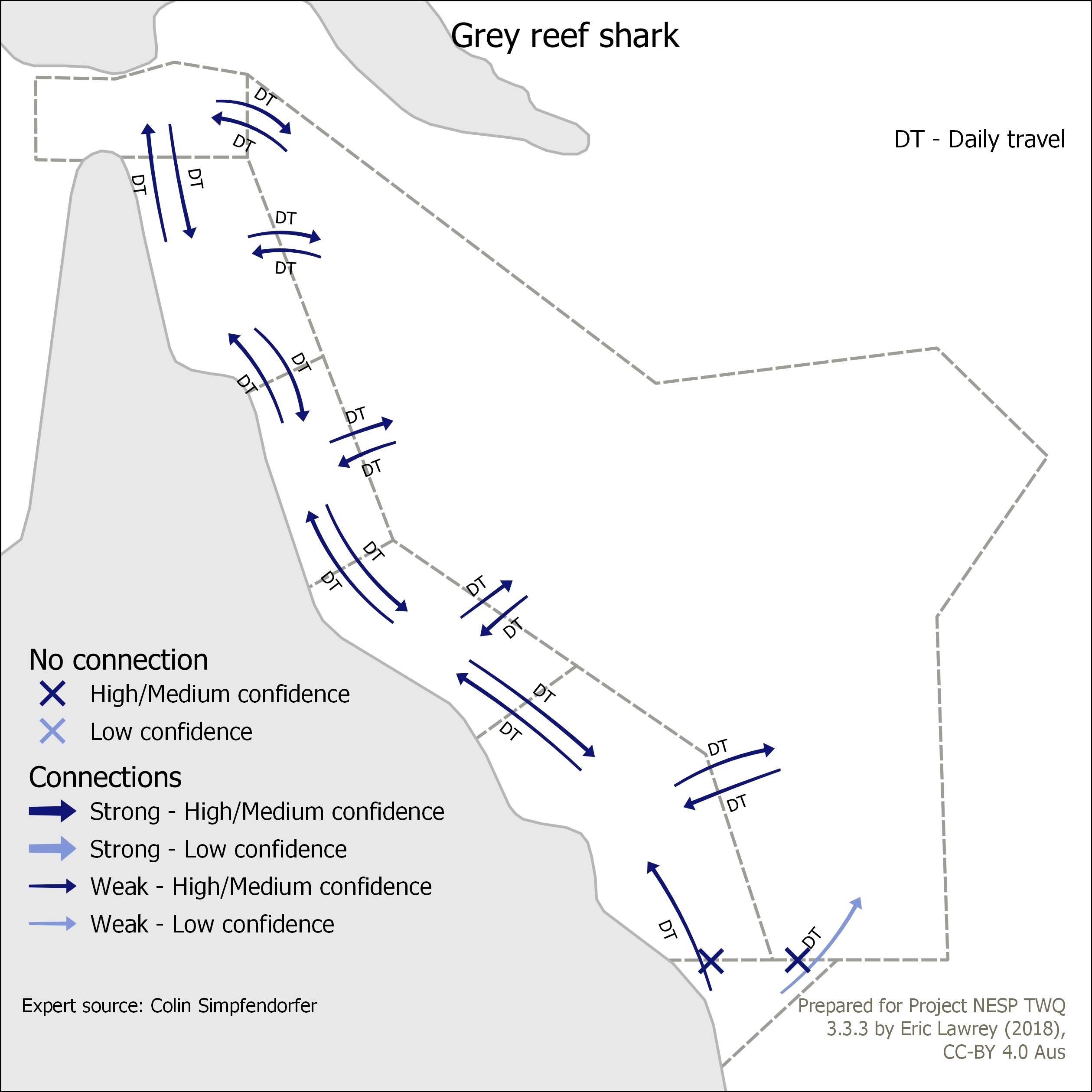 Grey reef shark