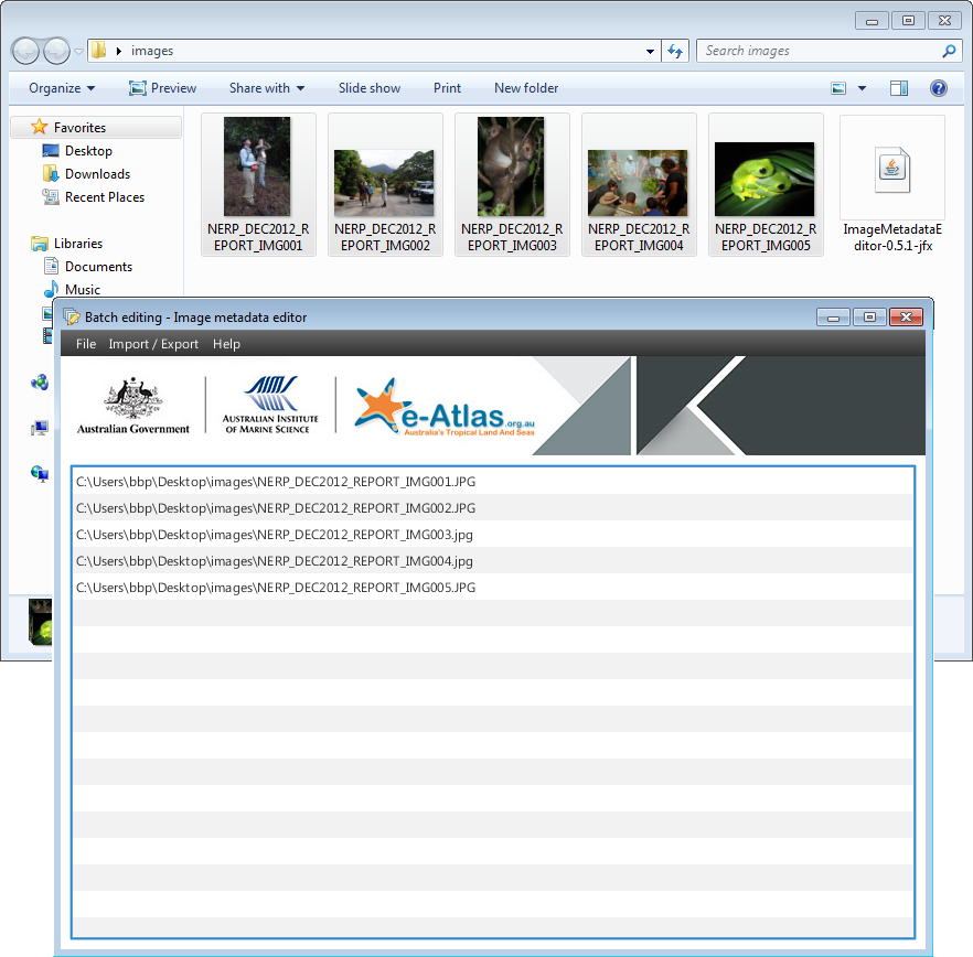 Images loaded in the Image Metadata Editor