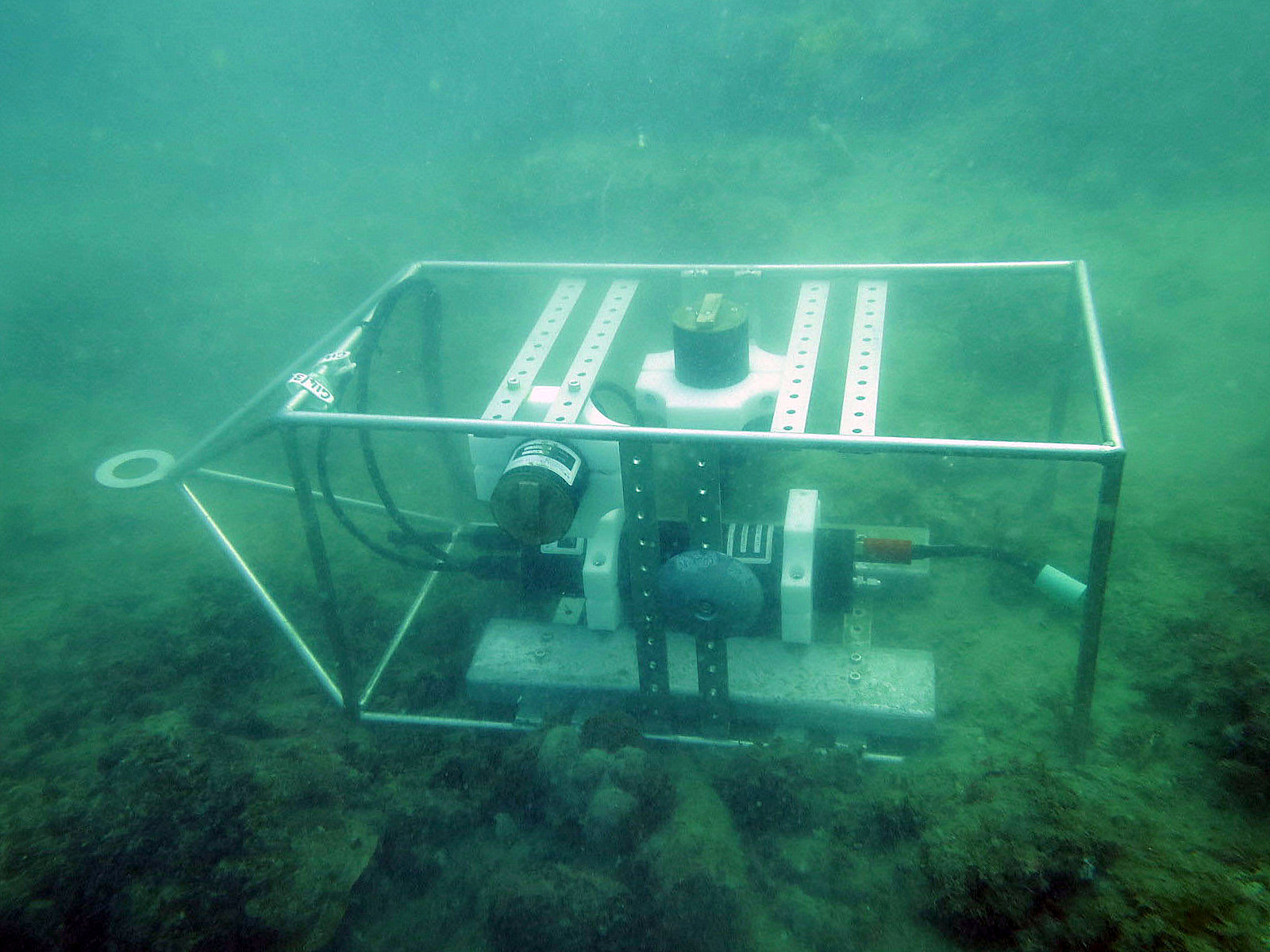 Light and turbidity logger at Florence Bay near Magnetic Island