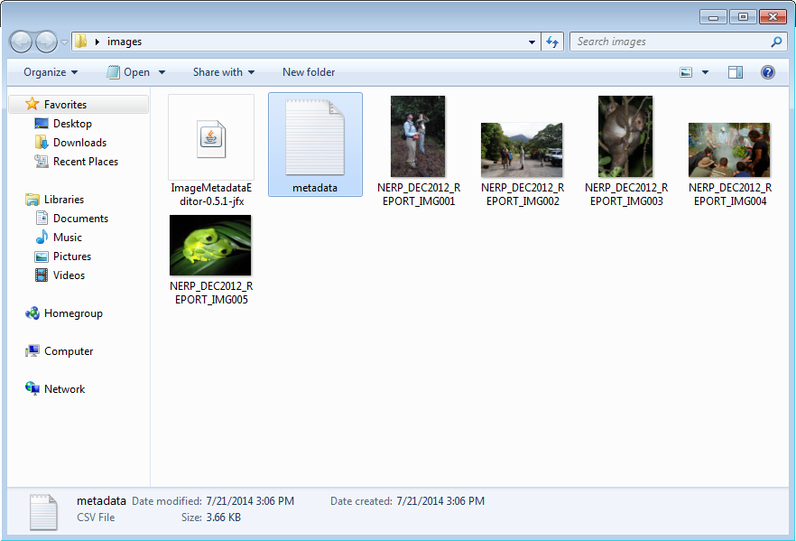 Metadata CSV file
