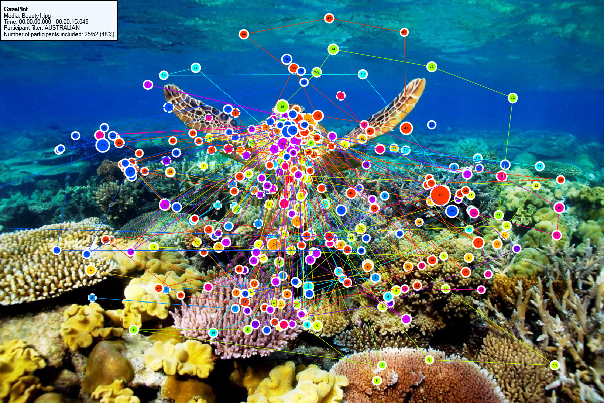 Gazeplot of of the picture Beauty1 viewed by Australian paricipants.