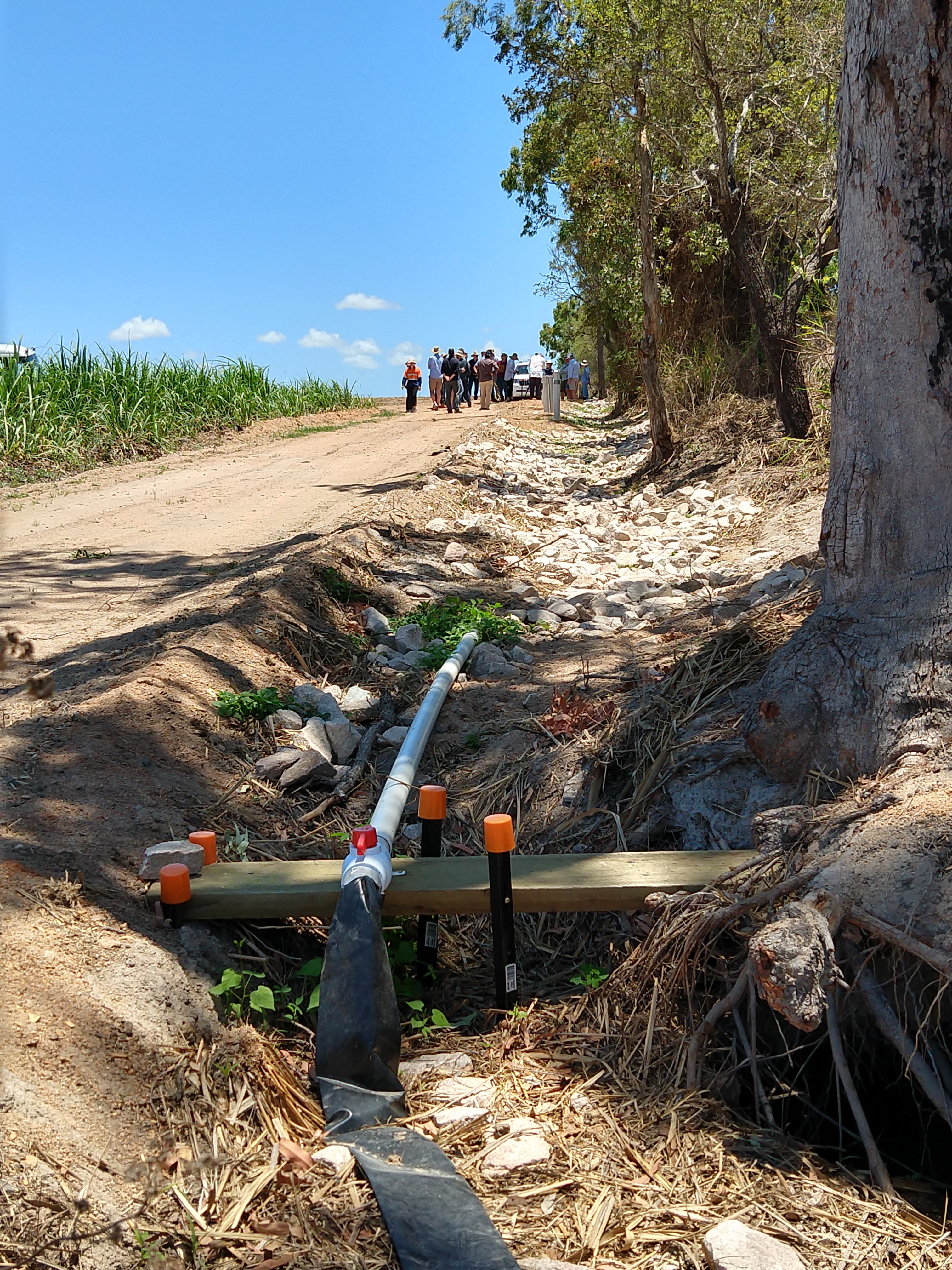 In-line bioreactor on a Burdekin cane farm - the outlet structure