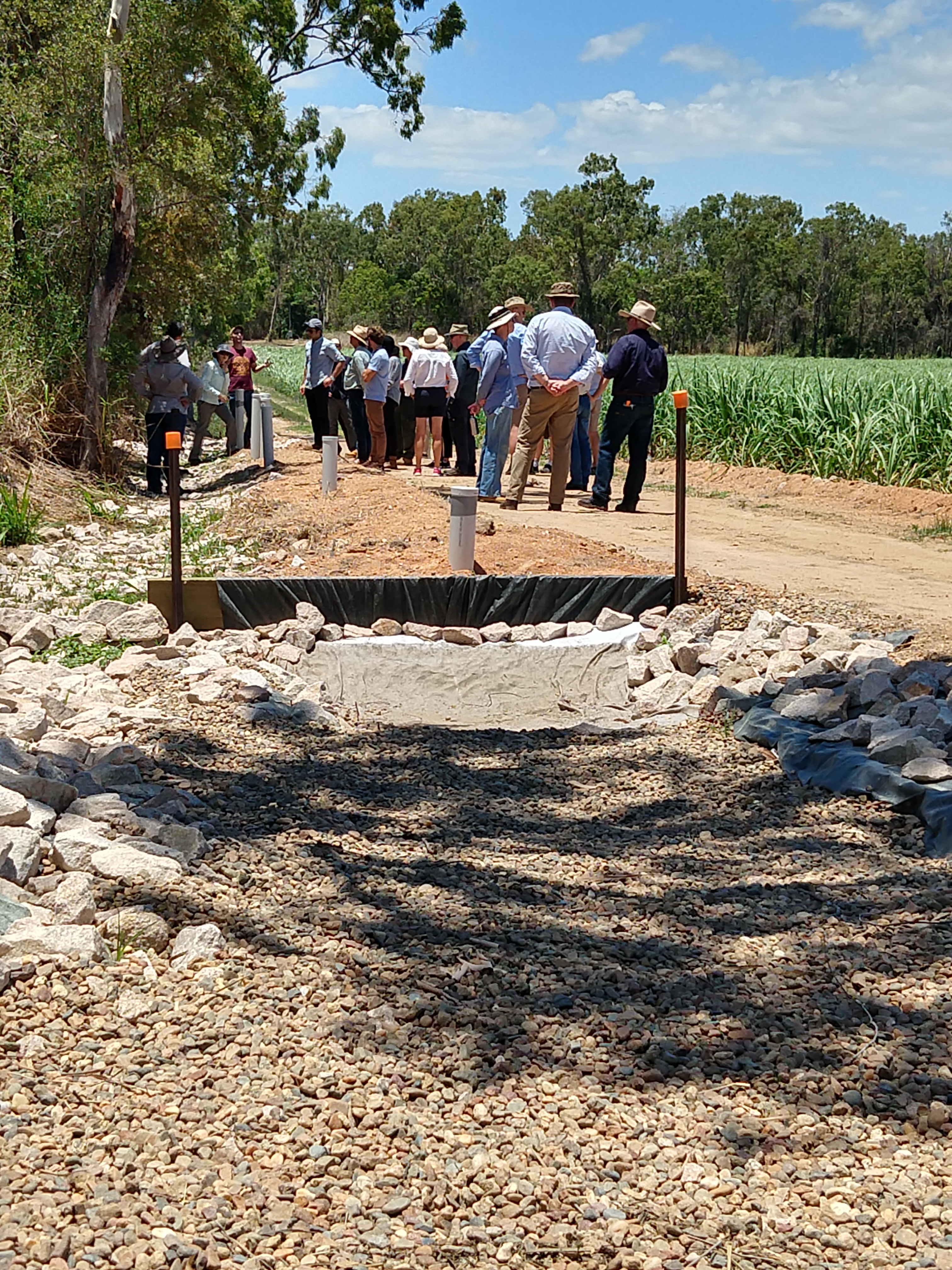 In-line bioreactor on a Burdekin cane farm - the inlet structure