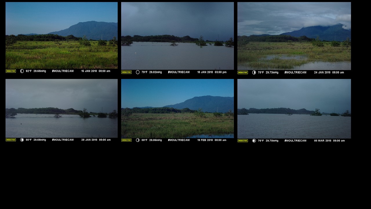 Time lapse photos - Babinda treatment wetland
