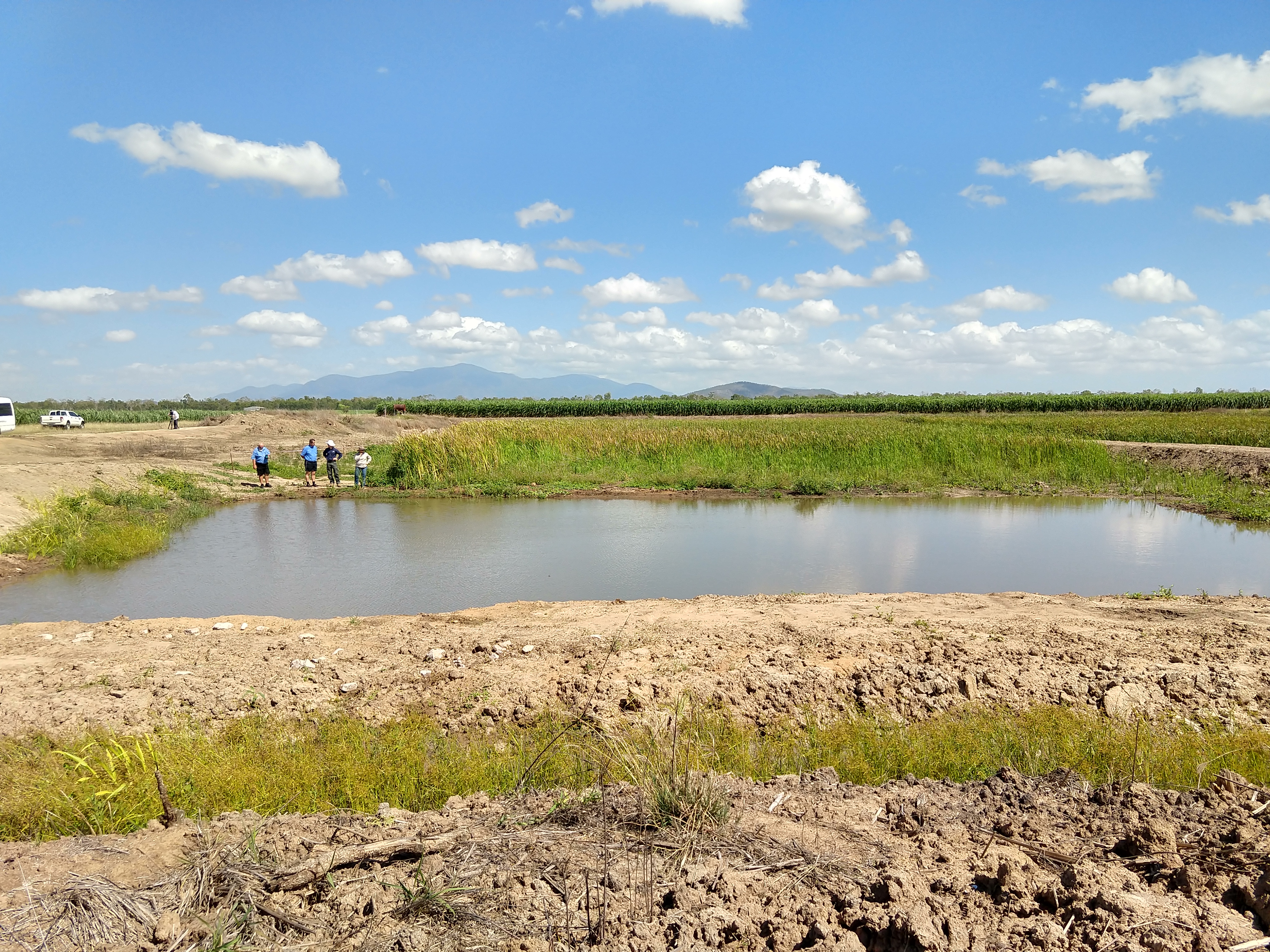 Constructed treatment wetland on a Burdekin cane farm - general view