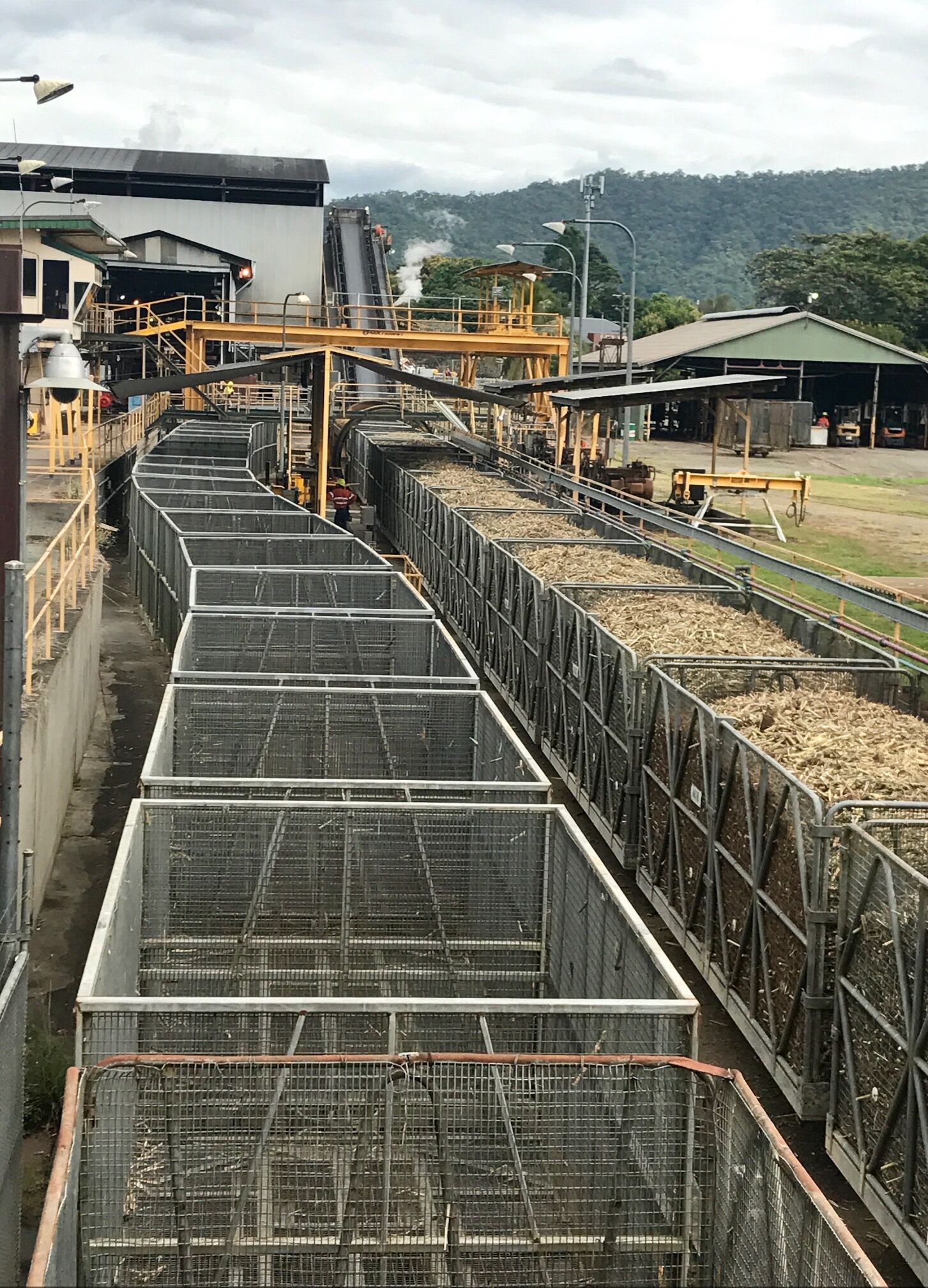 Cut cane ready to be processed at the Musgrave mill, Gordonvale, North Queensland