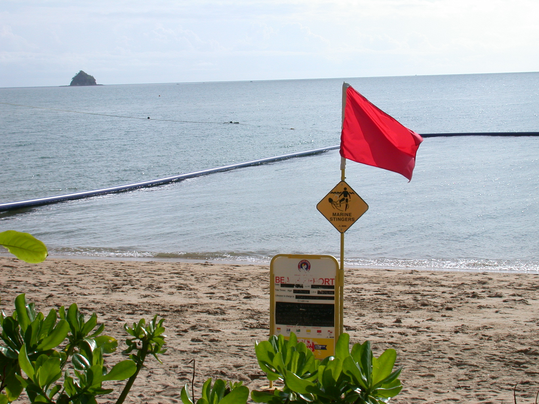 Stinger-resistant swimming enclosures only protect against box jellyfish. Beaches must still be closed when much smaller Irukandji are present.