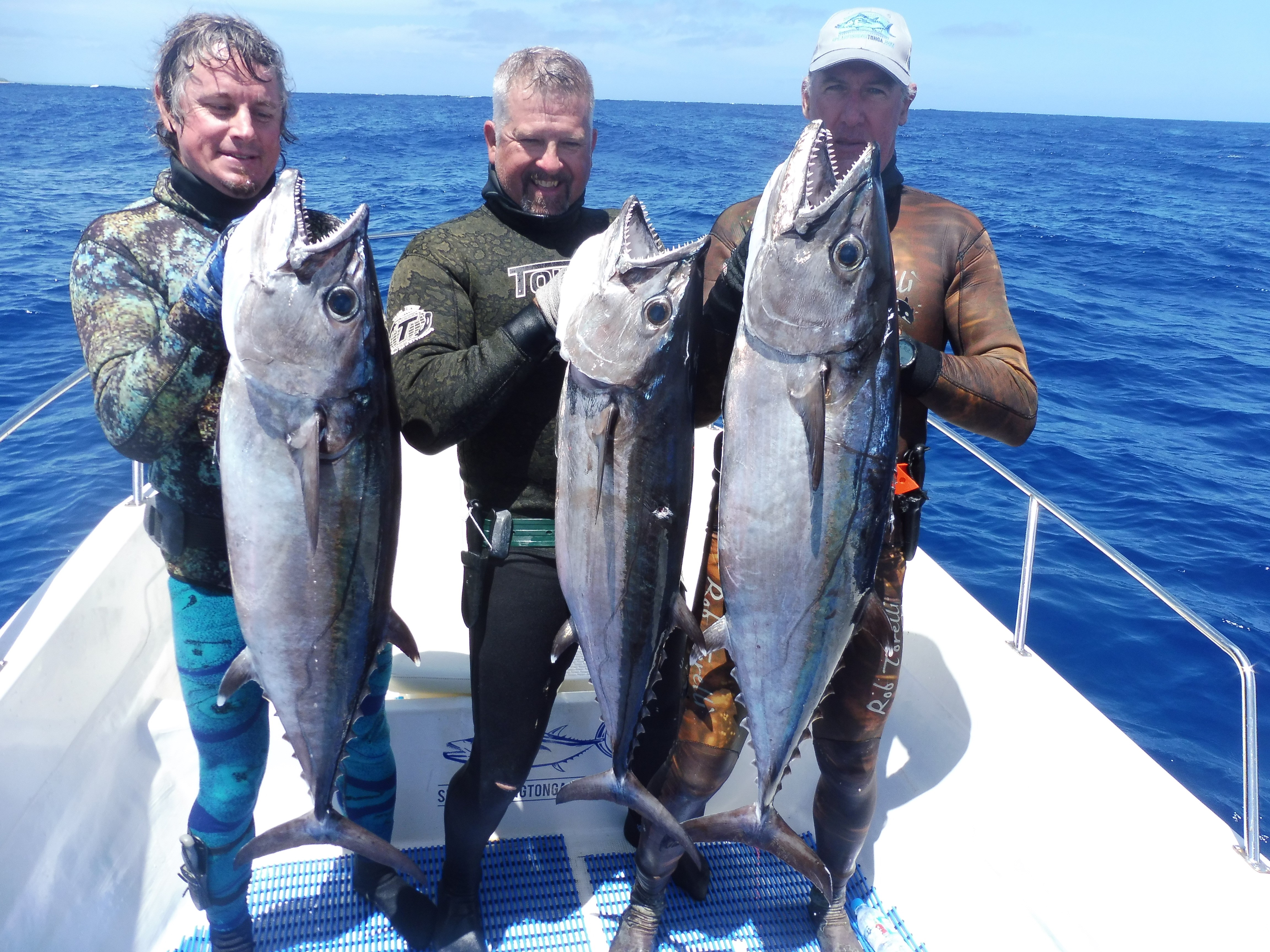 Dogtooth tuna