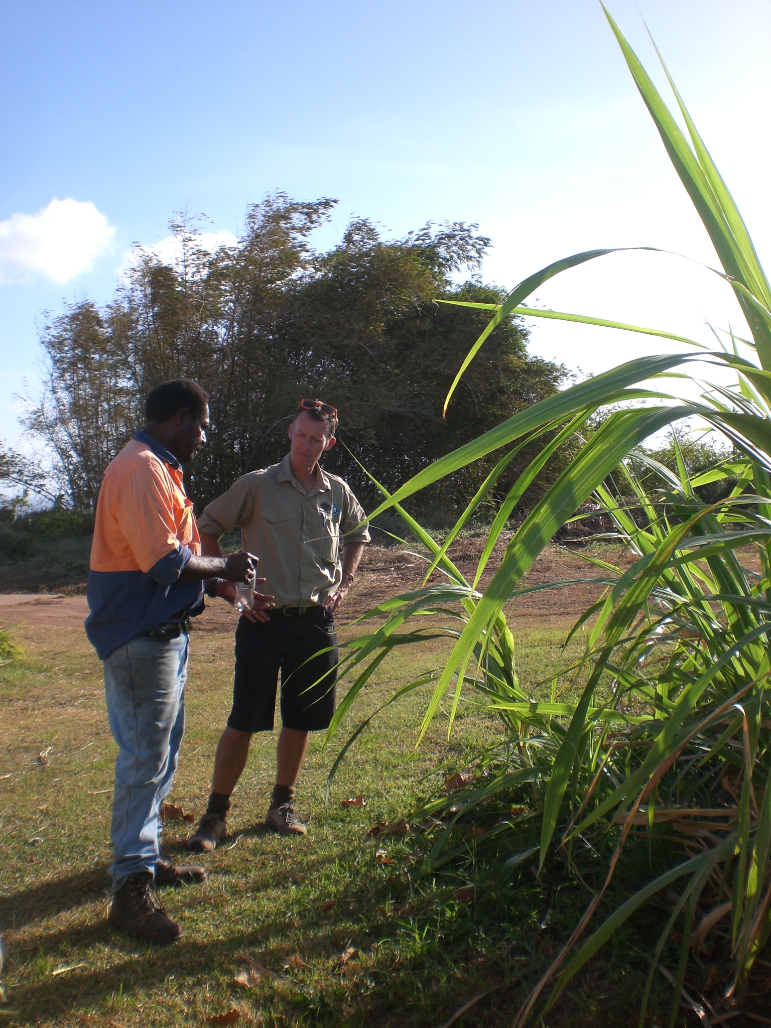 Waste management discussions on Erud Island, August 2012