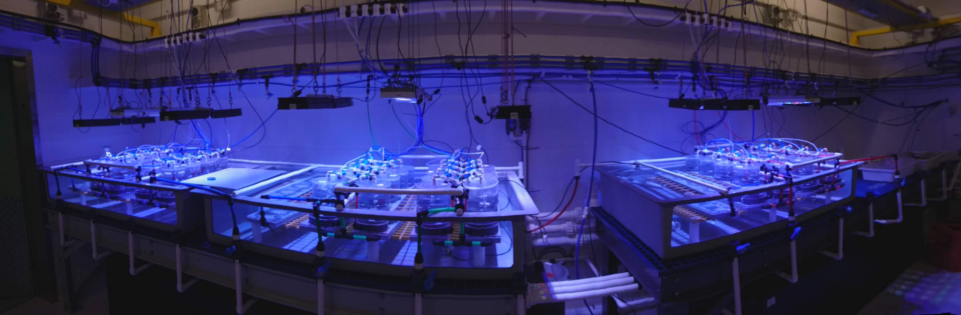 Experimental setup
