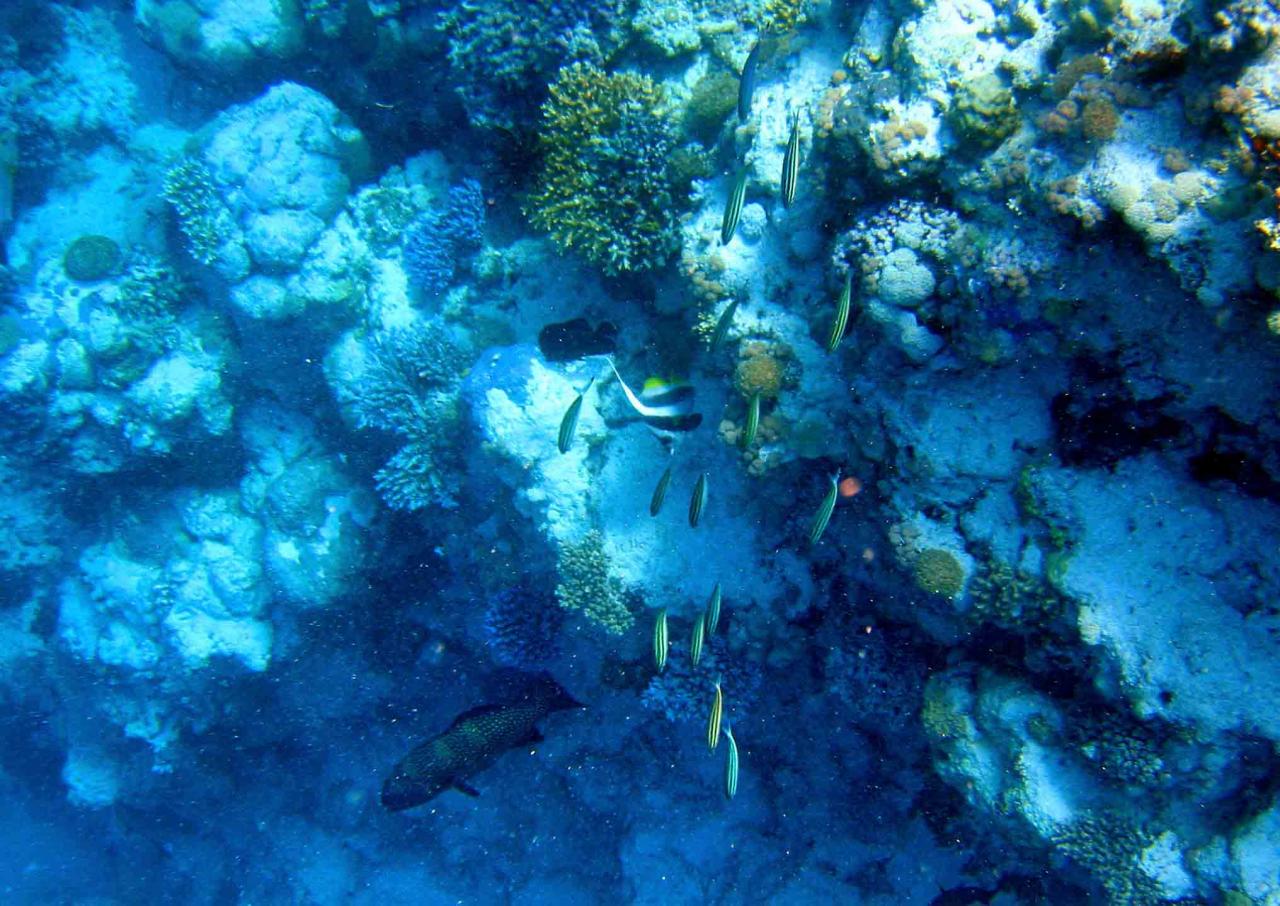 Bulk sediment movement