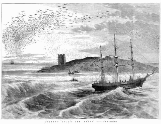 Figure 2 Oldprintof Raine Island