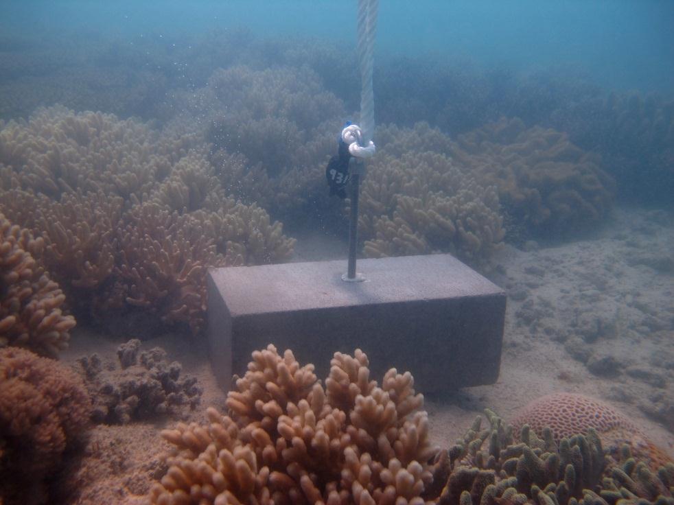 Booby Island - Torres Strait Temperature Logger (Flat Logger: BOOBYFL1)