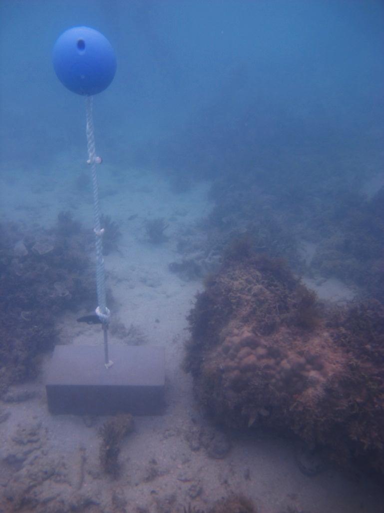 Dugong Island - Torres Strait Temperature Logger (Flat Logger: DUGONGFL1)