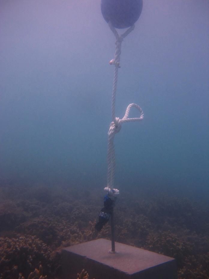 Moa Island - Kubin - Torres Strait Temperature Logger (Flat Logger: KUBINFL1)